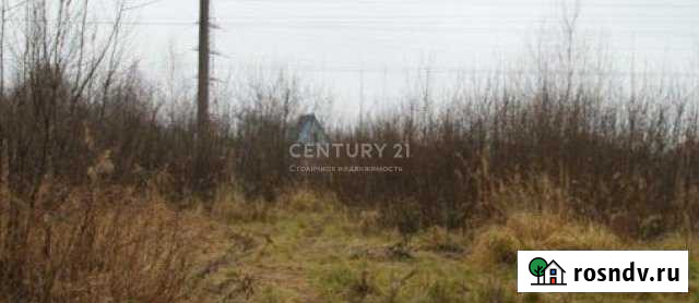 Участок СНТ, ДНП 6 сот. на продажу в Химках Химки - изображение 1