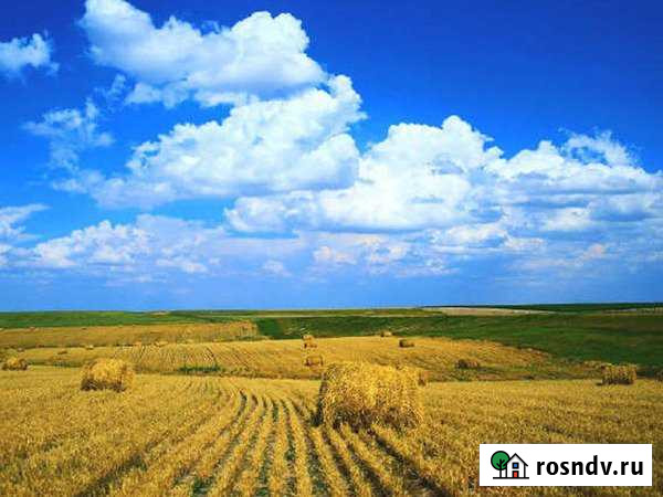 Участок СНТ, ДНП 10000 сот. в аренду в Камызяке Камызяк - изображение 1