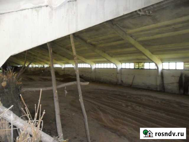 Участок СНТ, ДНП 2900 сот. на продажу в Дубне Тульской области Дубна - изображение 1