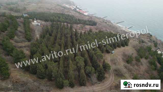 Участок СНТ, ДНП 20 сот. на продажу в Алуште Алушта - изображение 1