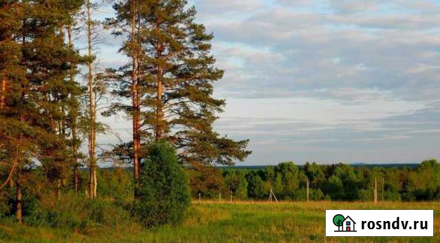 Участок СНТ, ДНП 25 сот. на продажу в Первомайском Ленинградской области Первомайское - изображение 1