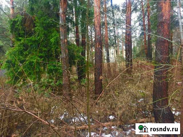 Участок СНТ, ДНП 20 сот. на продажу в Черкизово Черкизово - изображение 1