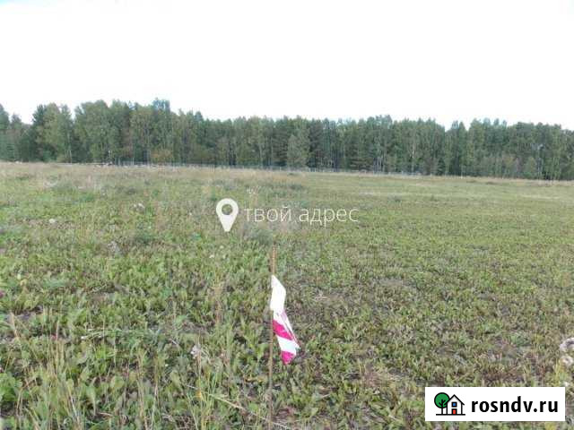 Участок СНТ, ДНП 1500 сот. на продажу в Екатеринославке Екатеринославка - изображение 1