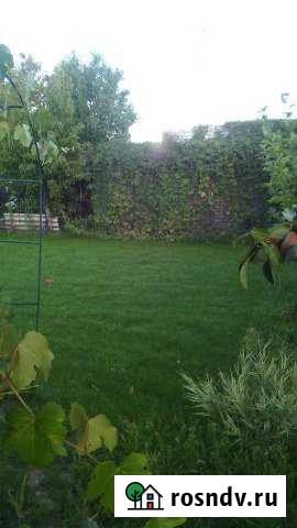 Дача 20 м² на участке 12 сот. на продажу в Дубовке Волгоградской области Дубовка - изображение 1