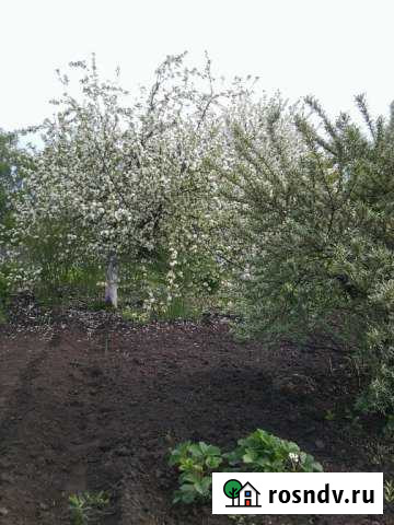 Участок СНТ, ДНП 6 сот. на продажу в Красноярке Красноярка - изображение 1