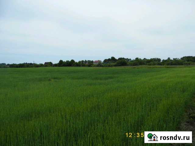 Участок СНТ, ДНП 12500 сот. на продажу в Зеленоградске Зеленоградск - изображение 1