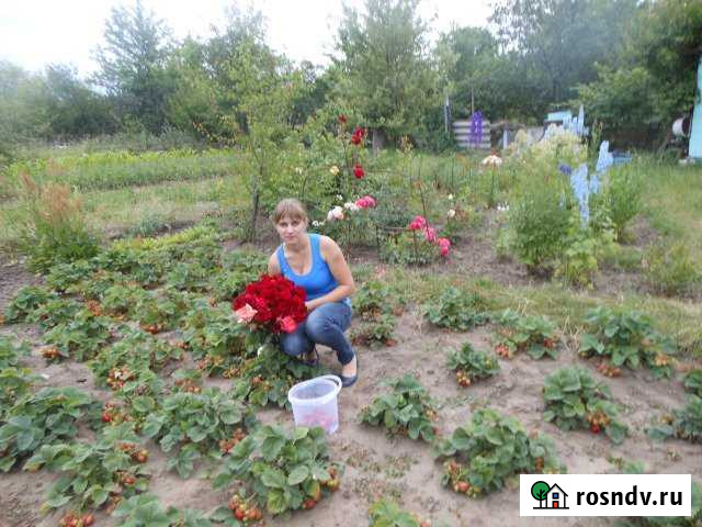 Дача 20 м² на участке 5 сот. на продажу в Шебекино Шебекино - изображение 1