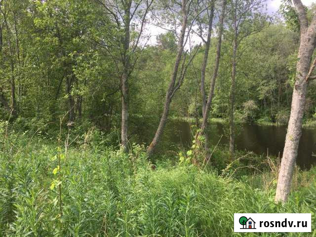 Участок СНТ, ДНП 50 сот. на продажу в Назие Назия - изображение 1