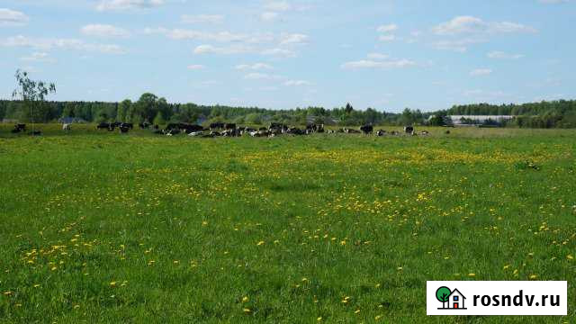 Участок ИЖС 10 сот. на продажу в Красных Ткачах Красные Ткачи - изображение 1