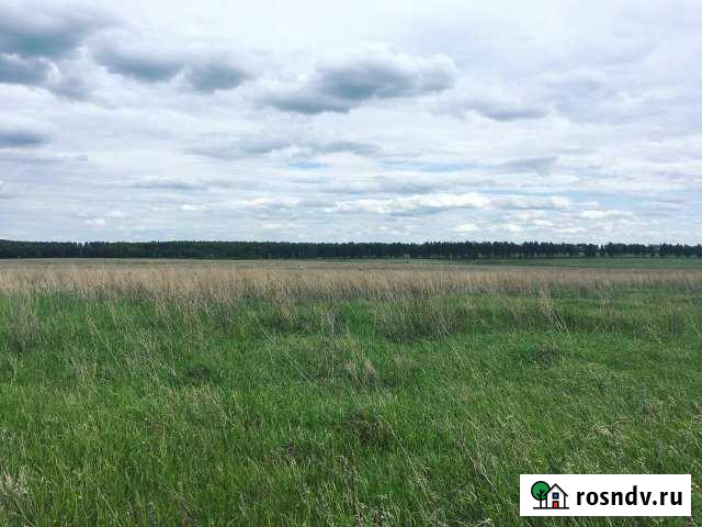 Участок СНТ, ДНП 970 сот. на продажу в Скопине Скопин - изображение 1