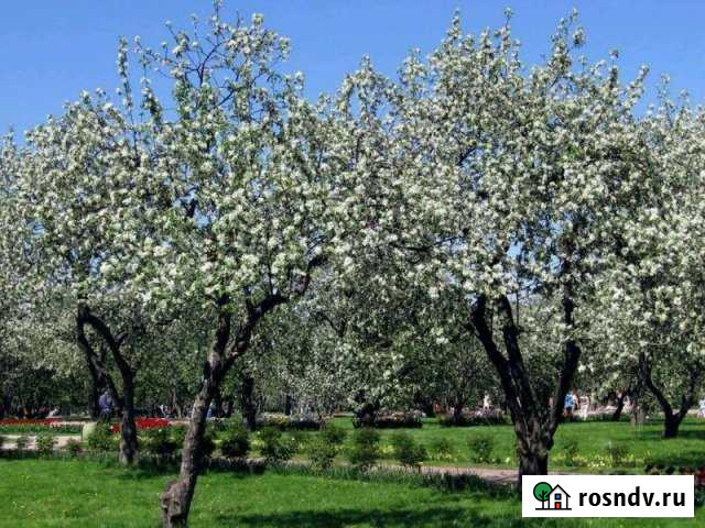 Участок ИЖС 10 сот. на продажу в Балахне Балахна - изображение 1