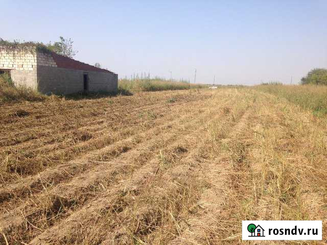 Участок СНТ, ДНП 20 сот. на продажу в Троицкой Краснодарского края Троицкая - изображение 1