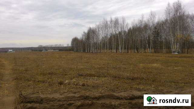 Участок СНТ, ДНП 112 сот. на продажу в Зеленодольске Зеленодольск - изображение 1