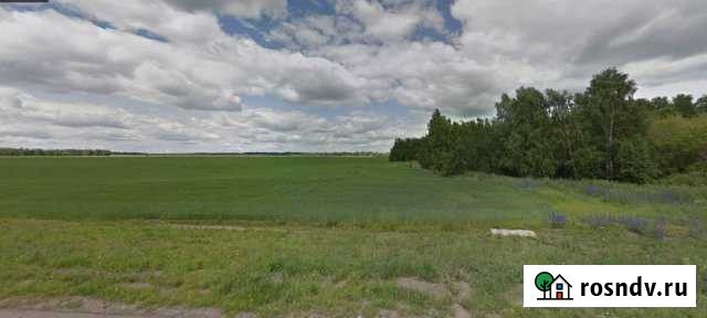 Участок СНТ, ДНП 508 сот. на продажу в Павловске Алтайского края Павловск - изображение 1