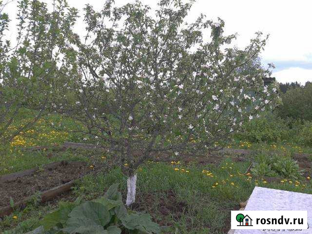 Участок СНТ, ДНП 14 сот. на продажу в Сиверском Сиверский - изображение 1