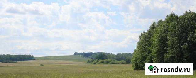 Участок СНТ, ДНП 800 сот. на продажу в Ильинском Пермского края Ильинский - изображение 1