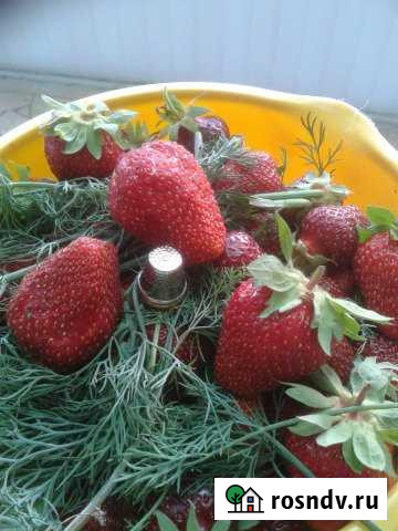 Дача 20 м² на участке 7 сот. на продажу в Балаково Балаково - изображение 1