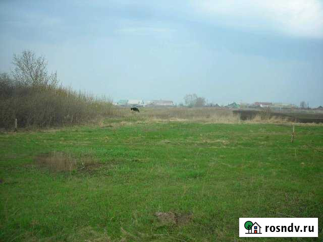 Участок ИЖС 18 сот. на продажу в Старой Майне Старая Майна - изображение 1