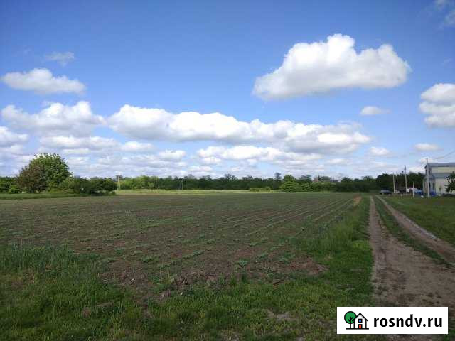 Участок ИЖС 20 сот. на продажу в Тбилисской Тбилисская - изображение 1