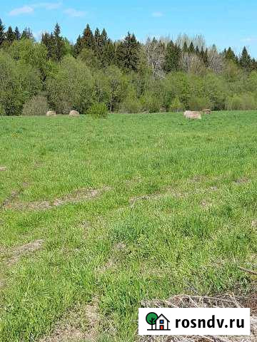 Участок СНТ, ДНП 330 сот. на продажу в Рябово Рябово - изображение 1