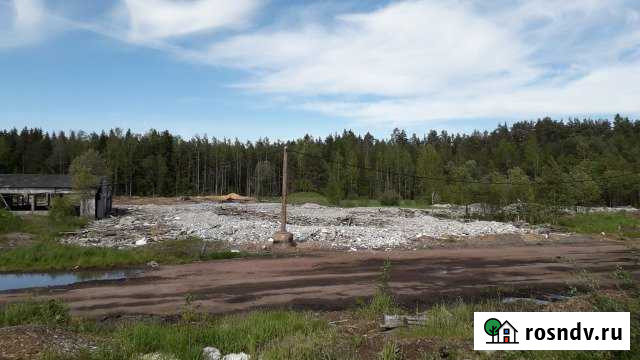 Участок промназначения 50 сот. на продажу в Выборге Выборг - изображение 1