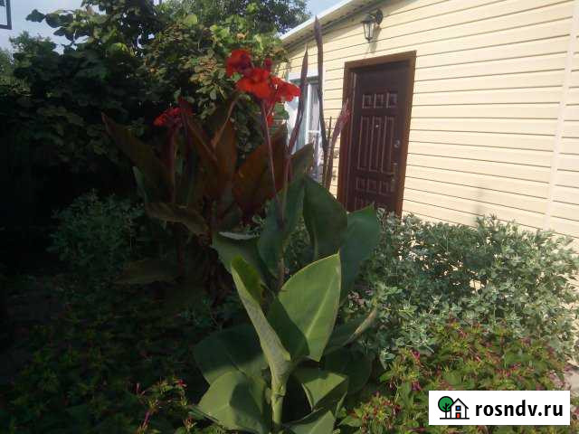 Комната 16 м² в 1-ком. кв., 1/1 эт. в аренду посуточно в Приморско-Ахтарске Приморско-Ахтарск - изображение 1