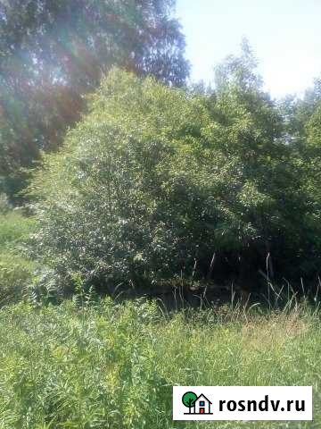 Участок СНТ, ДНП 6 сот. на продажу в Тургояке Тургояк - изображение 1