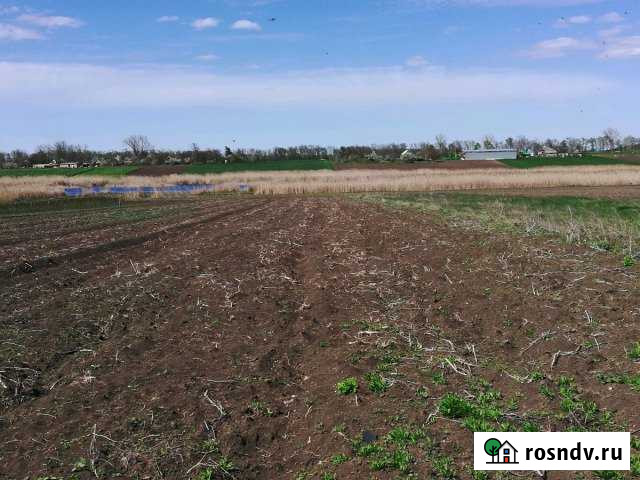 Участок СНТ, ДНП 32 сот. на продажу в Каневской Каневская - изображение 1