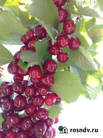 Участок ИЖС 9 сот. на продажу в Аксае Республики Дагестан Аксай - изображение 1