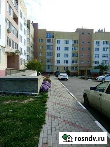 1-комнатная квартира, 43 м², 1/5 эт. на продажу в Майском Белгородской области Майский - изображение 1