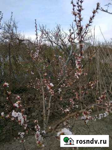 Участок ИЖС 10 сот. на продажу в Касумкенте Касумкент - изображение 1