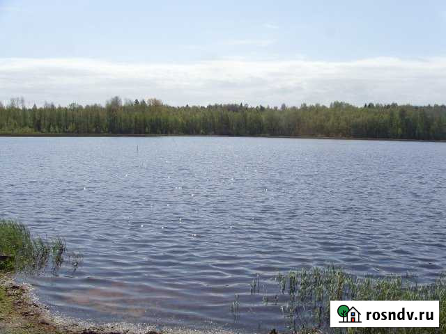 Участок СНТ, ДНП 280 сот. на продажу в Каменке Ленинградской области Каменка - изображение 1