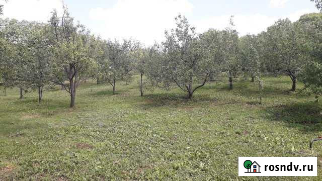 Дом 60 м² на участке 24 сот. на продажу в Сармаково Сармаково - изображение 1