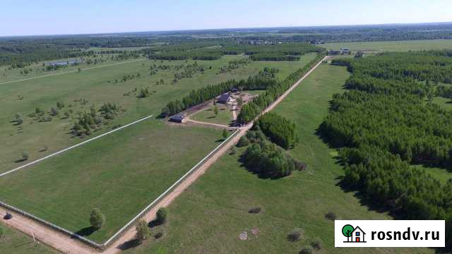 Участок СНТ, ДНП 217 сот. на продажу в Талдоме Талдом - изображение 1