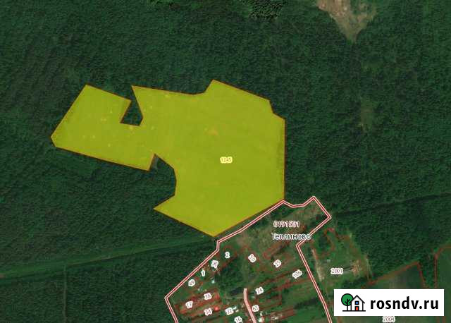 Участок СНТ, ДНП 1570 сот. на продажу в Дубне Московской области Дубна - изображение 1