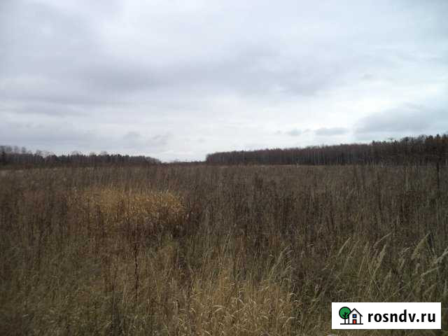 Участок СНТ, ДНП 1100 сот. на продажу в Петушках Петушки - изображение 1