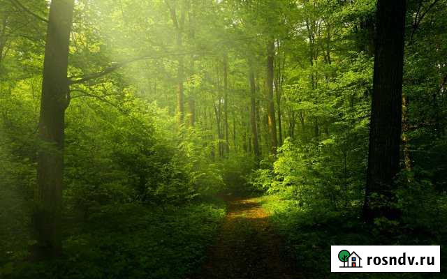 Участок ИЖС 55 сот. на продажу в Красной Горбатке Красная Горбатка - изображение 1