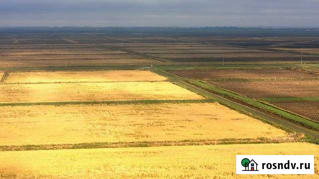 Участок СНТ, ДНП 22500 сот. на продажу в Славянске-на-Кубани Славянск-на-Кубани - изображение 1