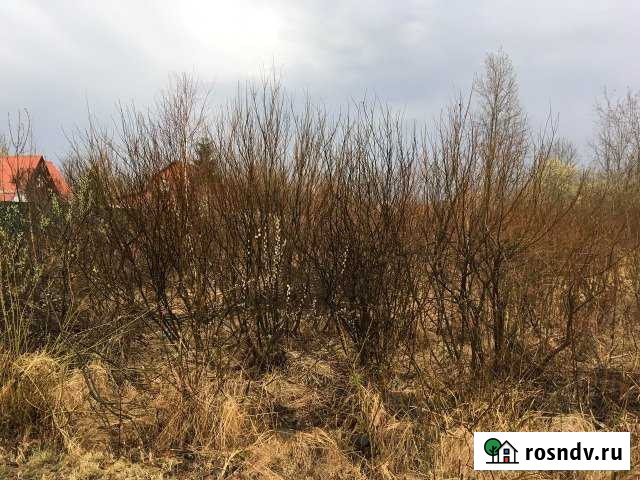 Участок СНТ, ДНП 6 сот. на продажу в Давыдово Давыдово - изображение 1