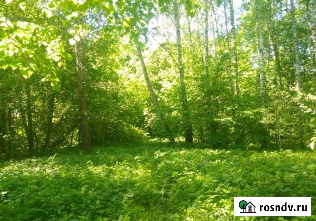 Участок ИЖС 15 сот. на продажу в Мурманске Мурманск - изображение 1