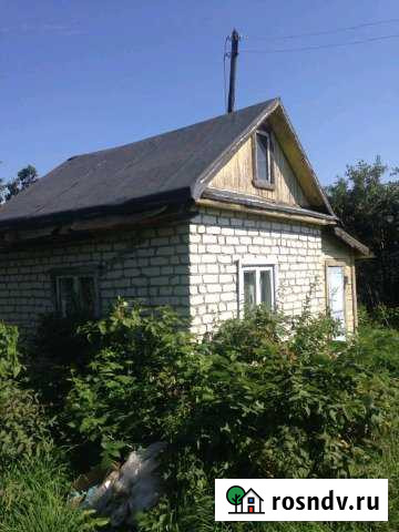 Дача 20 м² на участке 8 сот. на продажу в Горбатове Горбатов - изображение 1