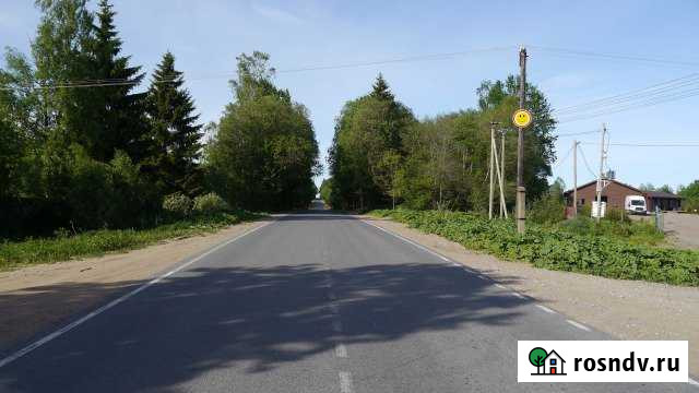 Участок СНТ, ДНП 260 сот. на продажу в Первомайском Ленинградской области Первомайское - изображение 1