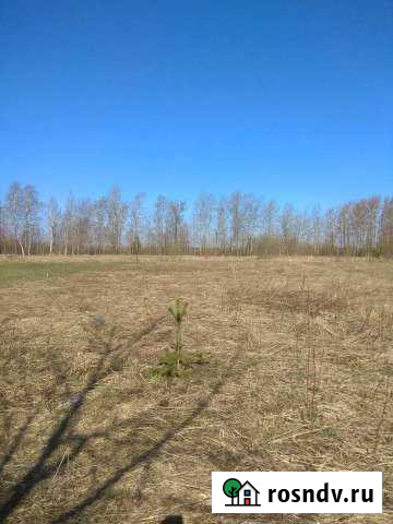 Участок СНТ, ДНП 7 сот. на продажу в Сланцах Сланцы - изображение 1