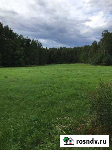 Участок СНТ, ДНП 223 сот. на продажу в Приозерске Приозерск - изображение 1