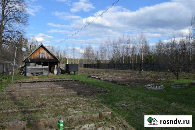 Дача 50 м² на участке 13 сот. на продажу в Мурыгино Мурыгино - изображение 1