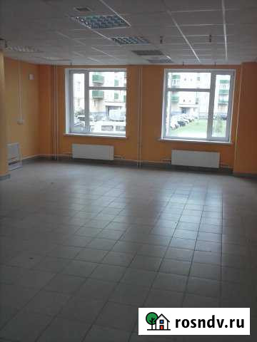 Торговое помещение 221 кв.м. (ЖК Родина) Псков - изображение 1