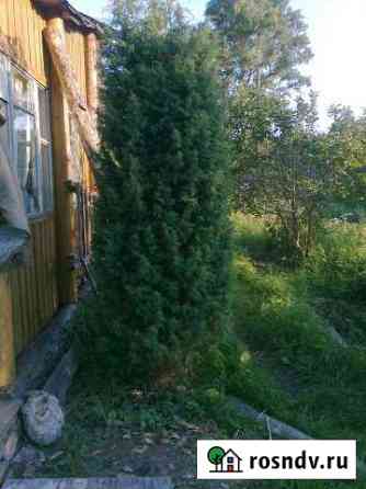 Дача 24 м² на участке 15 сот. на продажу в Гусе-Хрустальном Гусь-Хрустальный