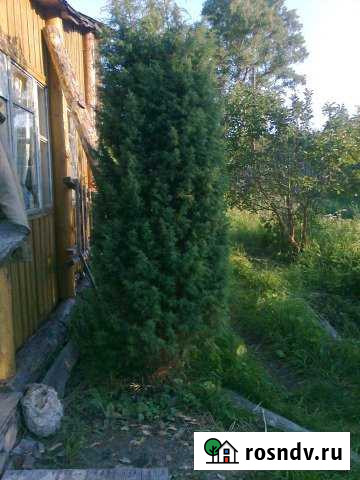 Дача 24 м² на участке 15 сот. на продажу в Гусе-Хрустальном Гусь-Хрустальный - изображение 1