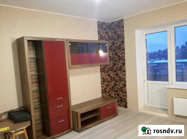 Квартира-студия, 30 м², 8/9 эт. в аренду на длительный срок в Ногинске Ногинск - изображение 1