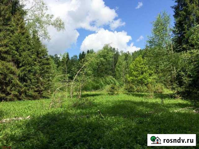 Участок ИЖС 13 сот. на продажу в Красноярке Красноярка - изображение 1